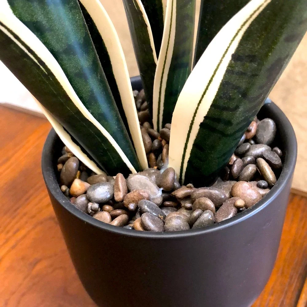 Faux snake plant in a ceramic pot. Pretty rocks with a sealed coating.